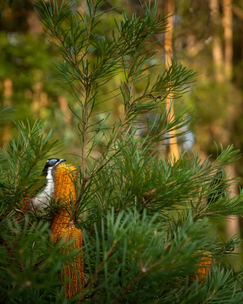 Feedback and enquiry